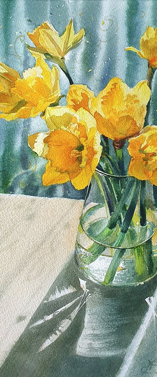 Watercolor yellow daffodils by Natasha Sokolnikova