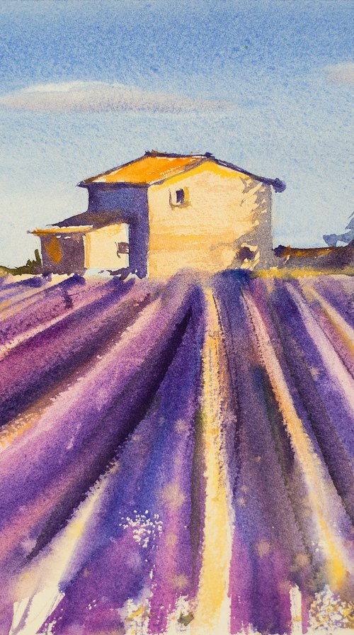 Lavender field in Provence by Sasha Romm