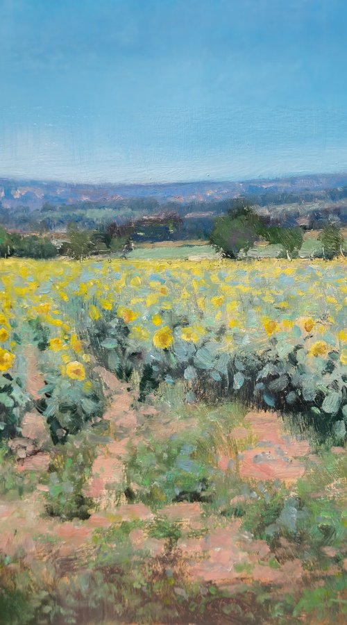 Sunflower Fields by Pascal Giroud