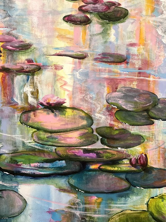 Water Lilies 5