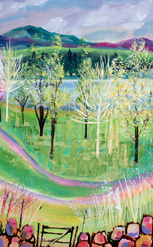 Tarn Hows by Julia  Rigby