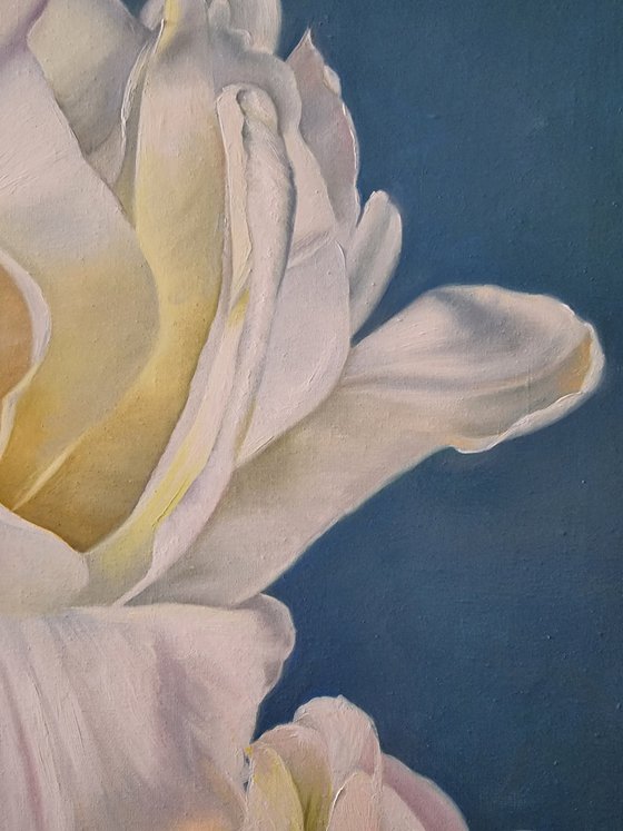 "Dance of white silk. "  tulip flower 2021