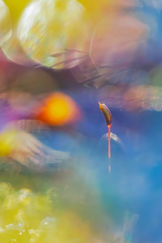 The Receiver - studio edition