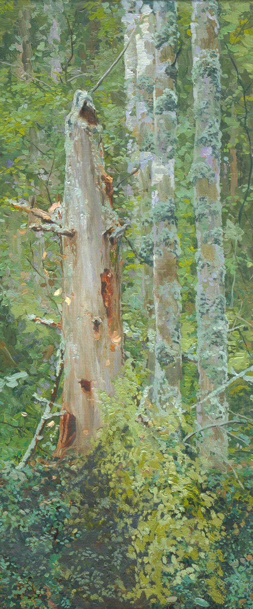 Dead Tree by Simon Kozhin