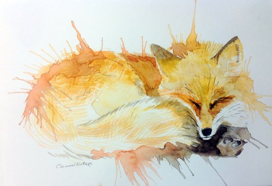 Fox Kip