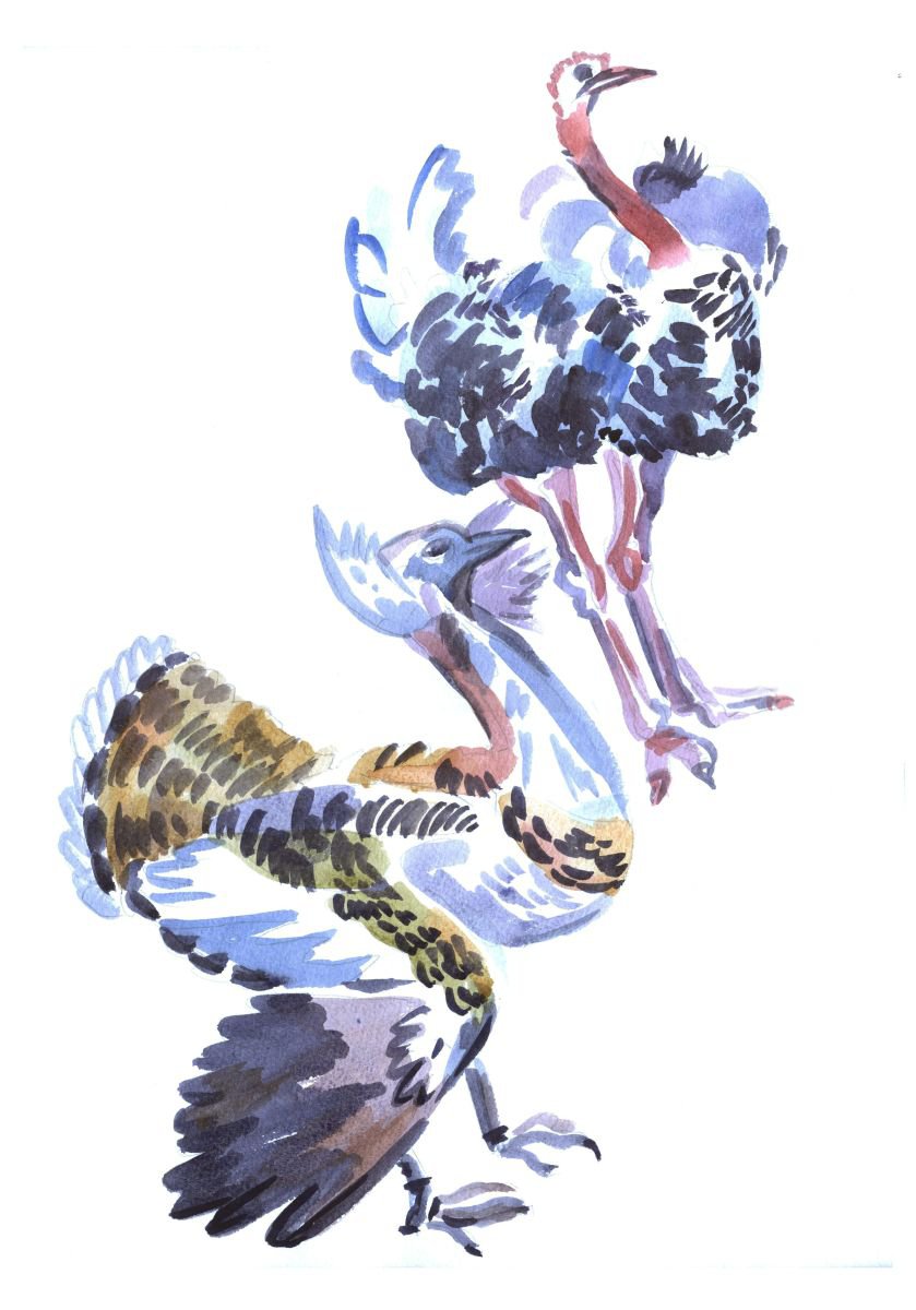 Impressionistic Animal Drawing By Kateryna Bortsova, 11 X 17", Ostriches, Original Artwork