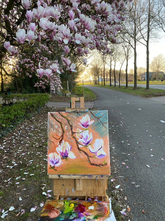 Dutch Magnolia