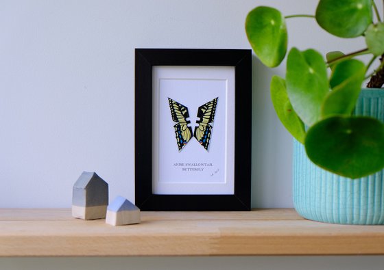 Anise Swallowtail butterfly