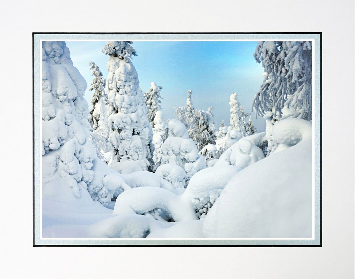 Photorealistic Landscape Photograph By Robin Clarke, 14 X 11", Finland Snow Forest Six, Original Artwork