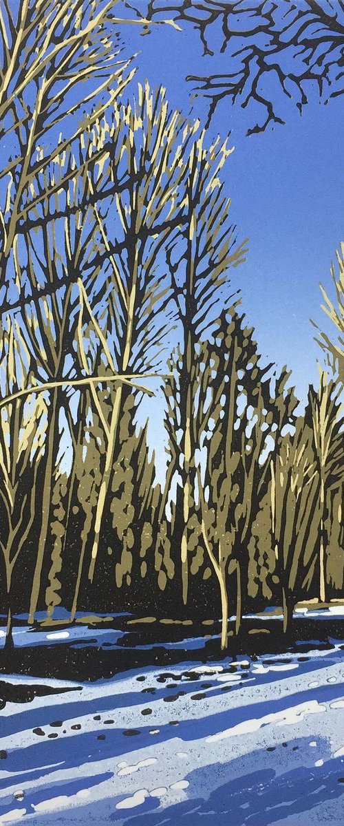 Woodland Snow by Alexandra Buckle