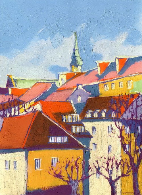 Roofs of the old town by Evgen Semenyuk
