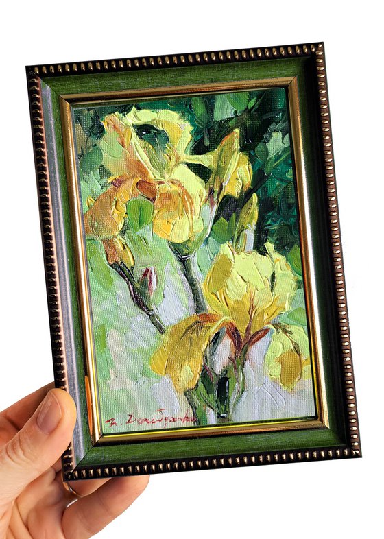 Yellow irises