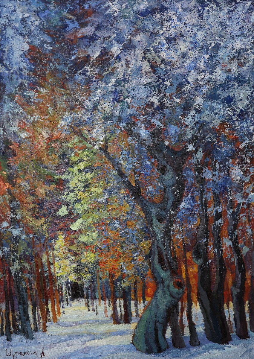 Winter alley by Anna Shurakova