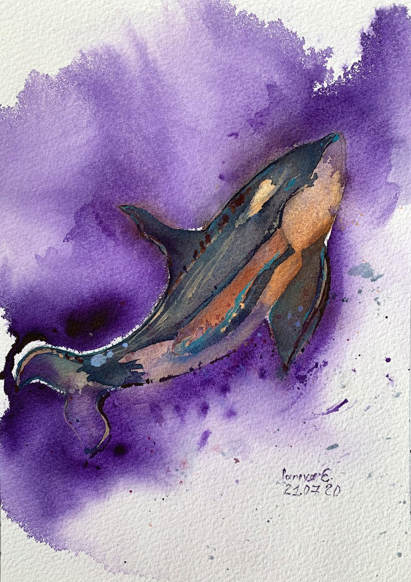 Dolphin #2 by Evgenia Panova