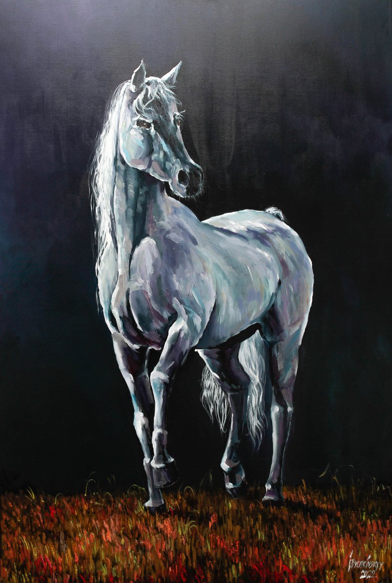 Horse by Ihor Bychkivskyy