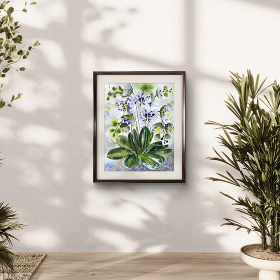 White Orchid in a pot