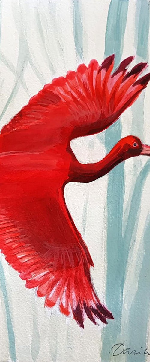 Scarlet Ibis flying by Daria Startseva