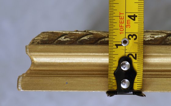 Forest. Fir-tree. Karmanovo