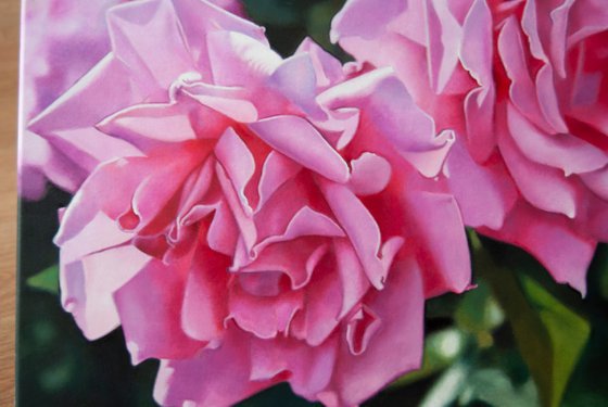 Pink Roses
