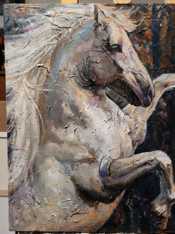A White Horse, Impasto, Original Oil Painting, Contemporary, US, 2024