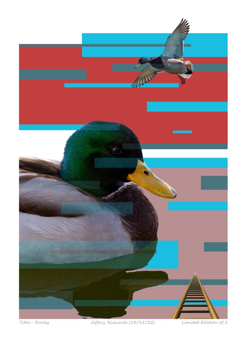 Ducky by Jeffery Richards