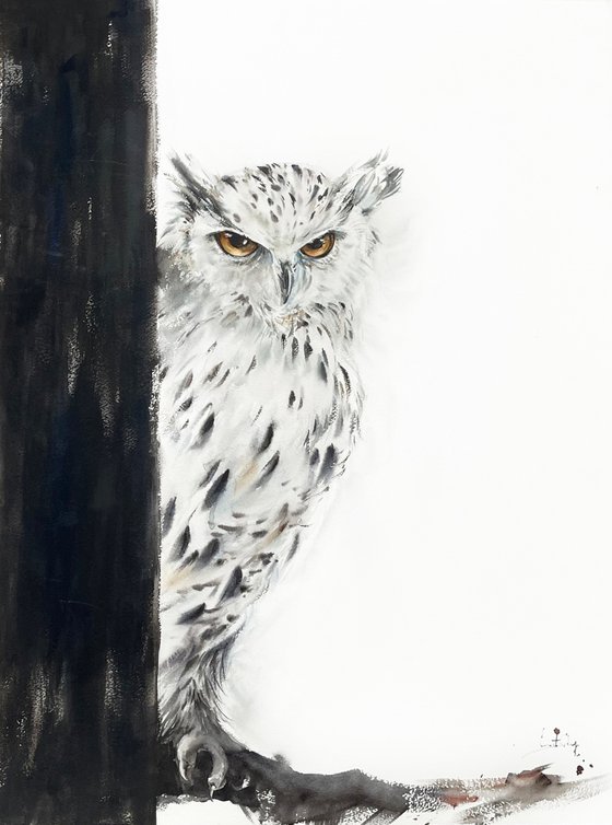 White Owl