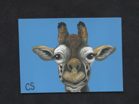 ACEO ATC Original Painting Giraffe Smile Wildlife Art-Carla Smale