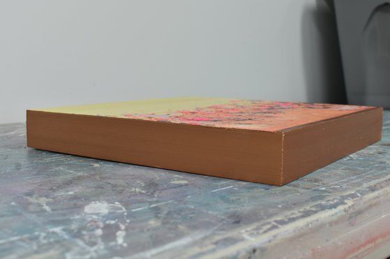 Sunkist Coral 1