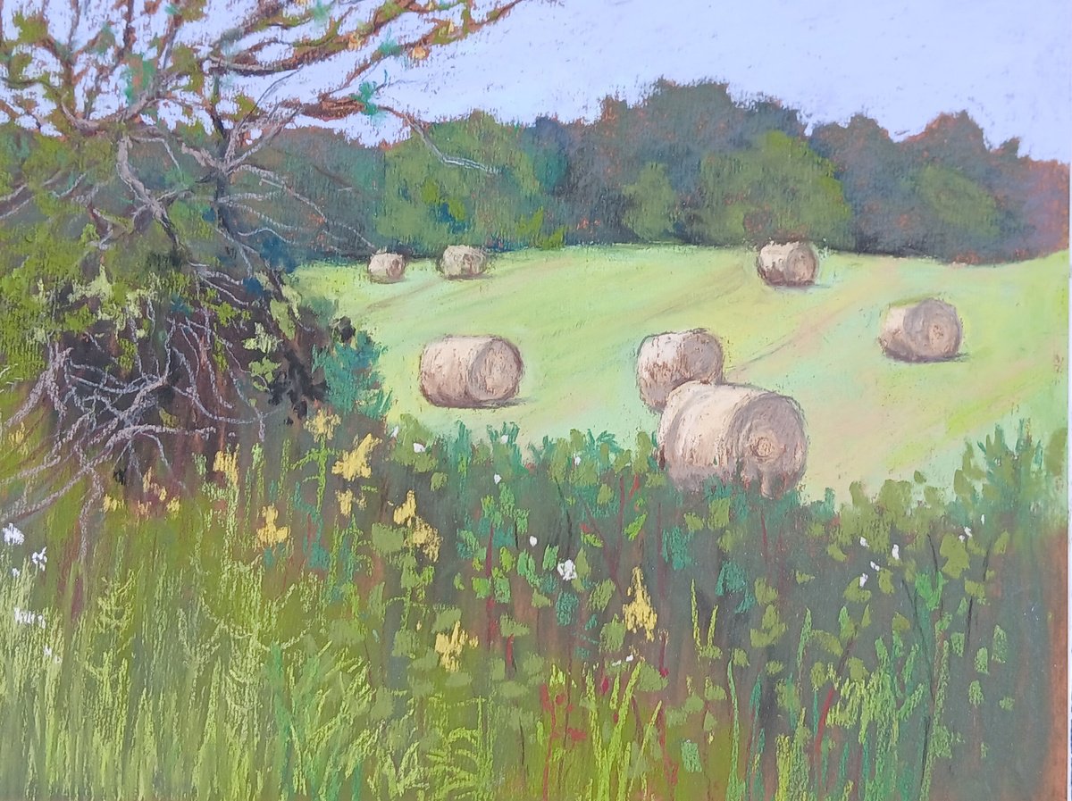 Impressionistic Botanical Painting By Joanne Carmody Meierhofer, 14 X 11, Cockadoodledoo!, Original Artwork