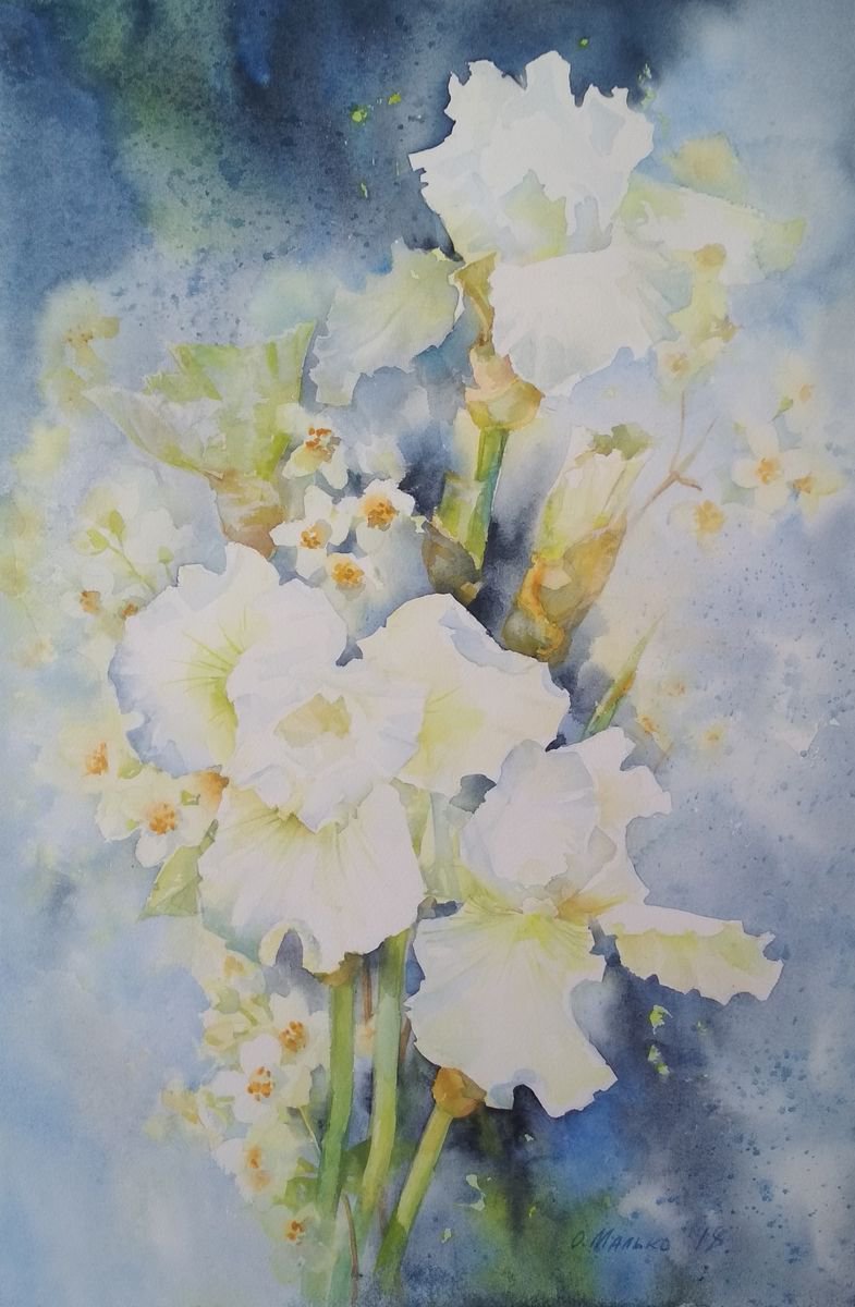 Winter dreams about spring / Floral watercolor Irises Spring flowers by Olha Malko