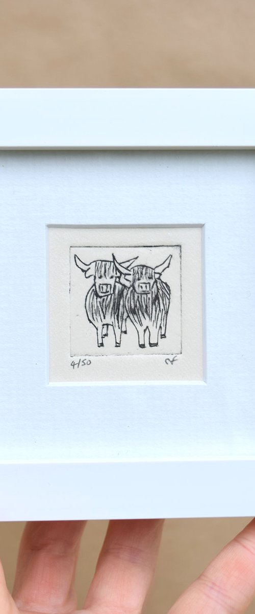 Mini framed two highland cows standing close by Sally Fisher