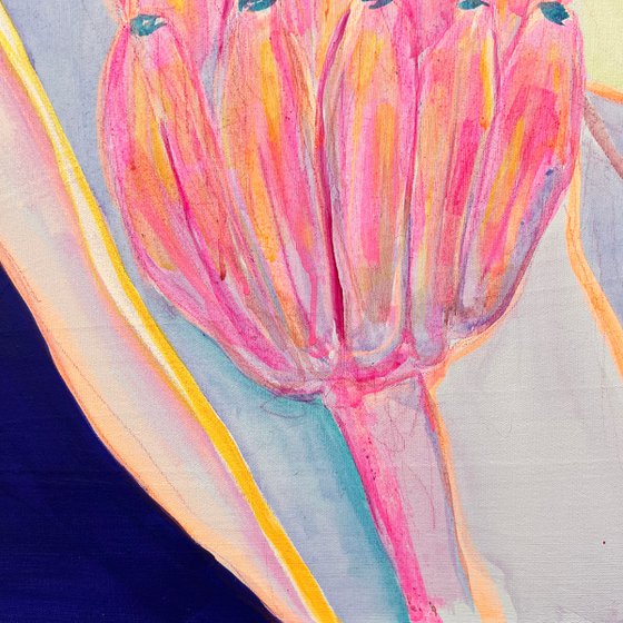 Pink Neon Banana Study