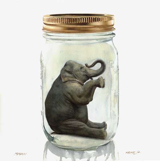 Elephant in Jar III