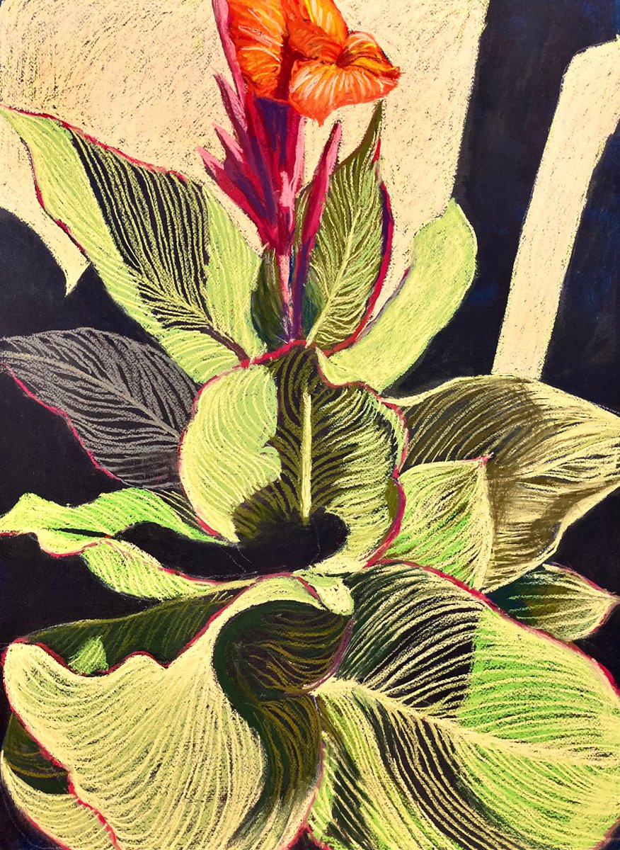 Impressionistic Botanical Pastel Drawing By John Cottee, 22 X 30, Canna, Original Artwork