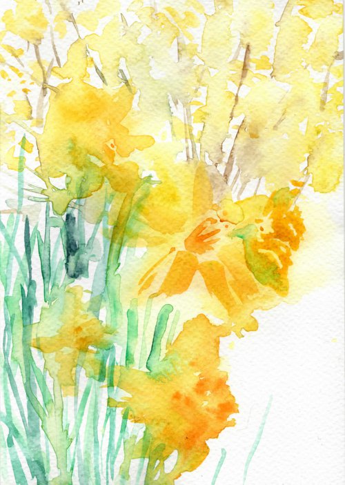 Daffodils by Yumi Kudo