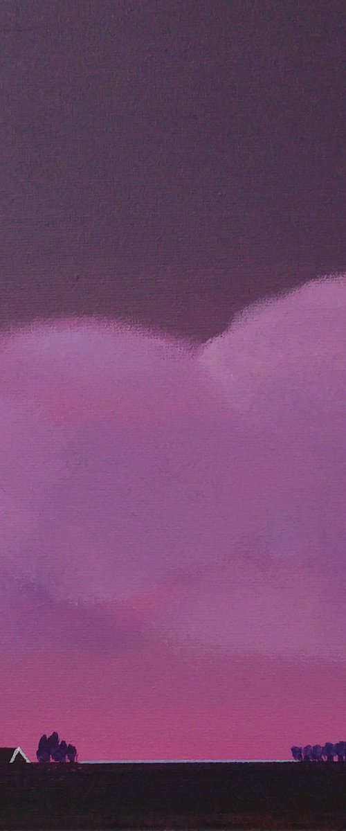 Pink purple evening by Nelly van Nieuwenhuijzen