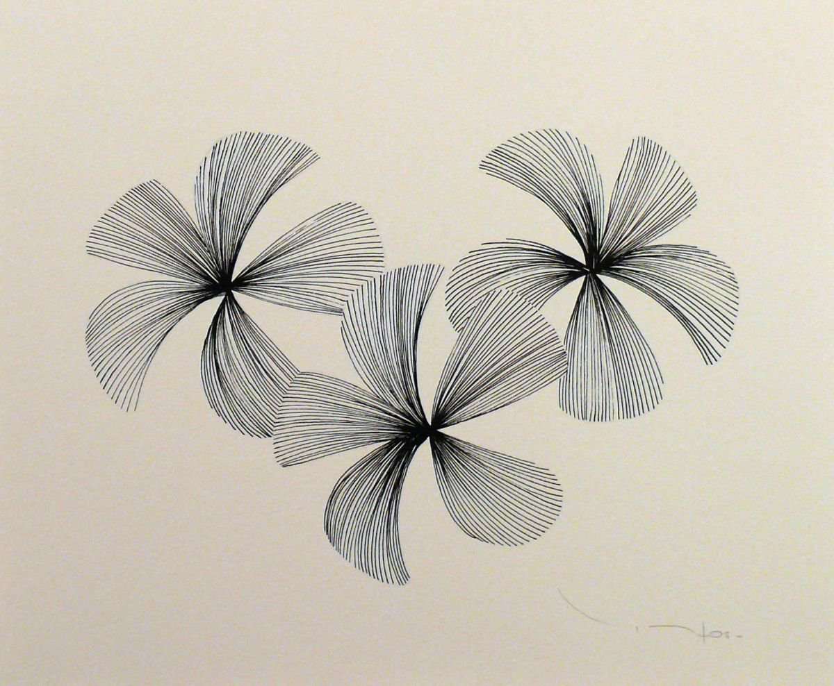 Tehos - Three black flowers 02 by Tehos