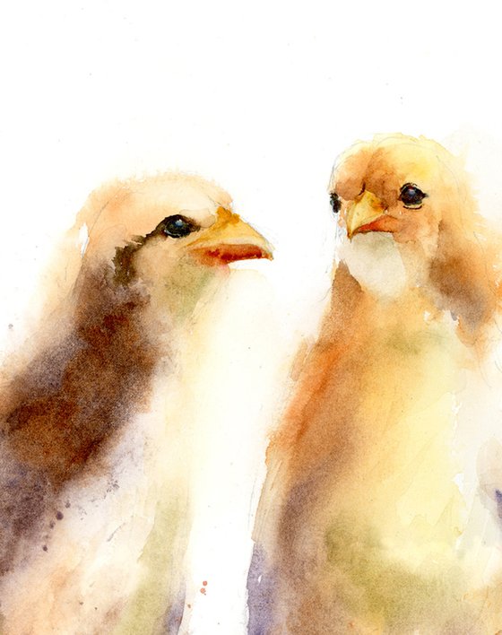 Gossip birds.