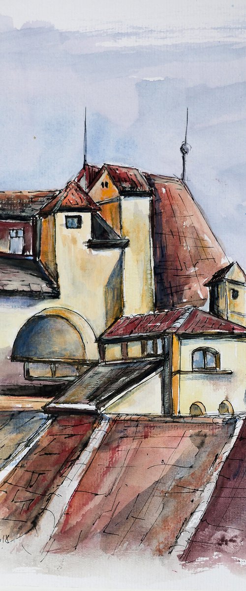 Roofs in the old town by Aniko Hencz