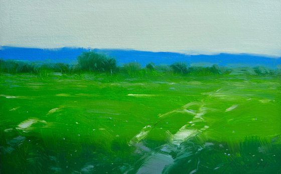 Summer Field, Original oil painting, Handmade artwork, One of a kind