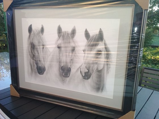 Three Beautiful Horses