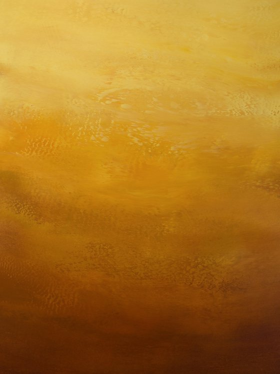 Honey Amber - Color Field
