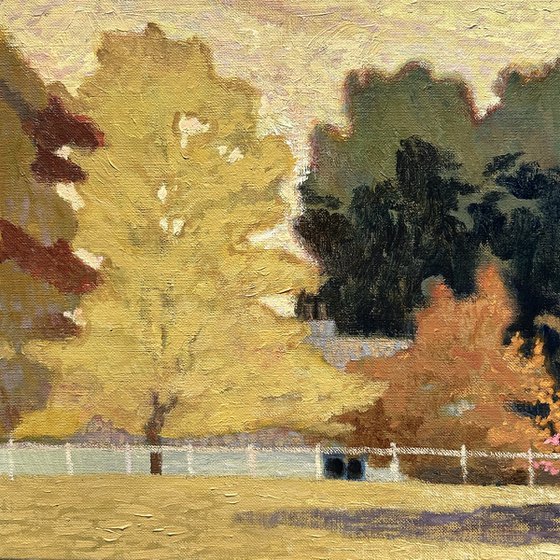 'Harman's Yellow'