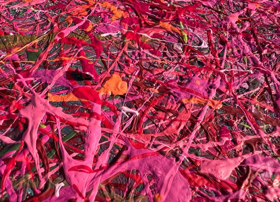 Petals of Time