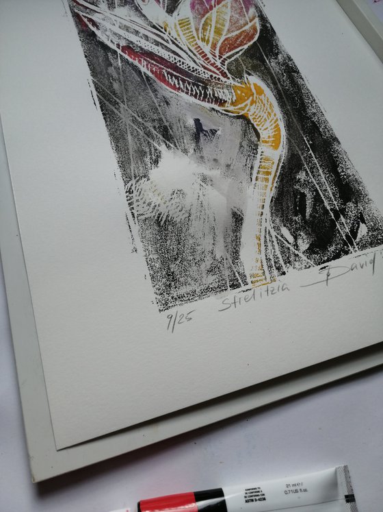 bird of paradise flower - Monotype 09