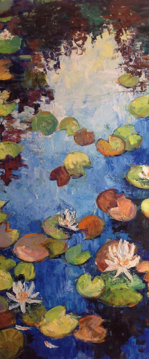 Evening water lilies pond by Nataliia Nosyk