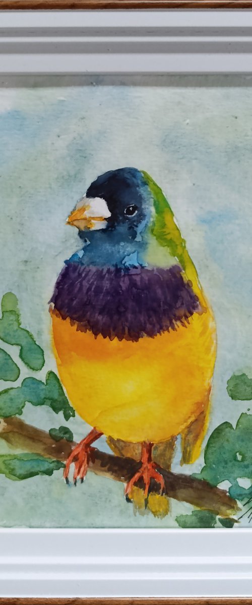 Bird by Salana Art / Svetlana Samovarova