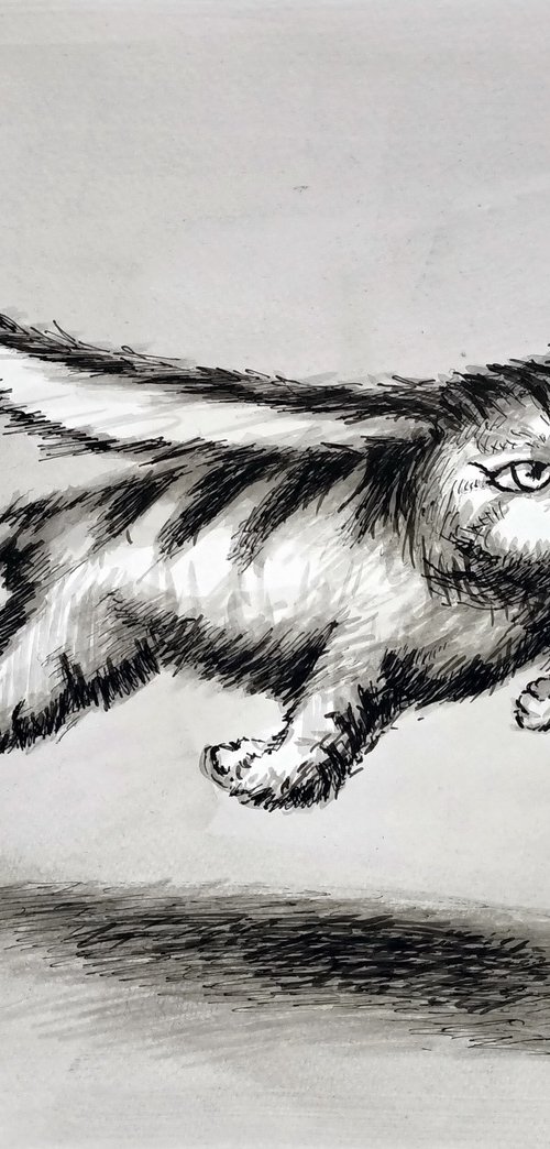 Flying Cat 2 by Evgen Semenyuk