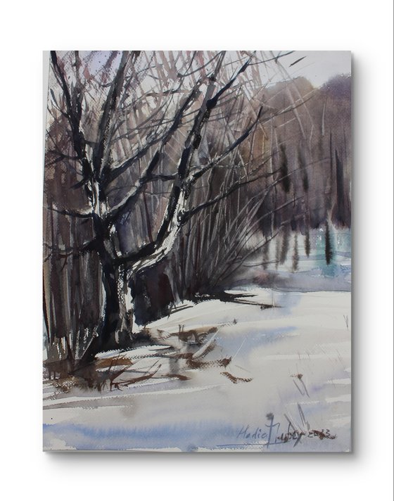 Winter landscape