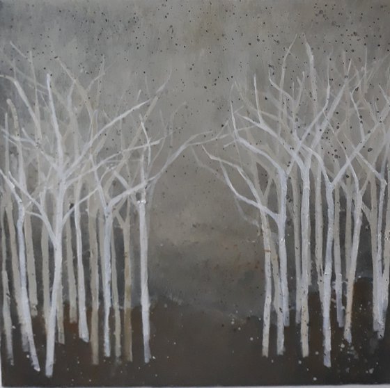 White Winter Branches.....
